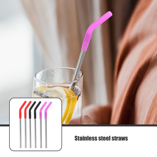 6 Pcs 2024 Stainless Steel Straw Straws Drinking Reusable with Silicone Tips
