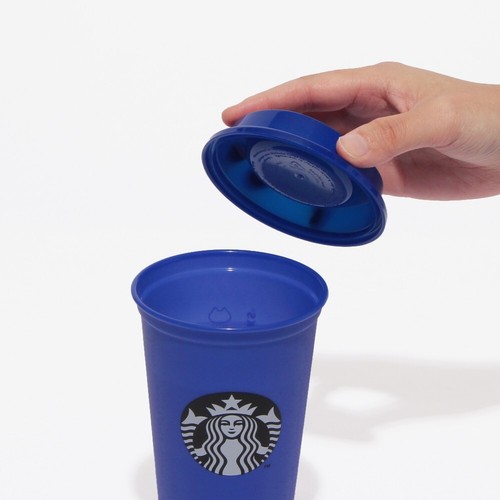 Starbucks Japan 2024 Halloween Magic Black Cat Mug Tumbler Bottle Plush doll New - Picture 111 of 143