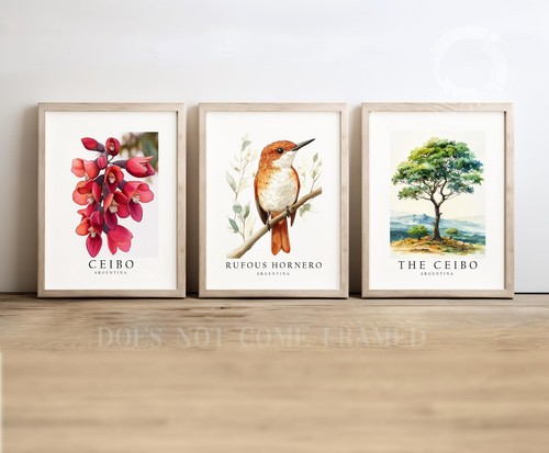 Argentina National Symbols, Set of 3 Poster Prints, Wall Home Décor, Unframed - Picture 4 of 8