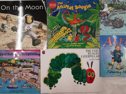 Young Children's Fiction Picture Books Large Collection of 10 Pre Loved Books - Picture 11 of 24