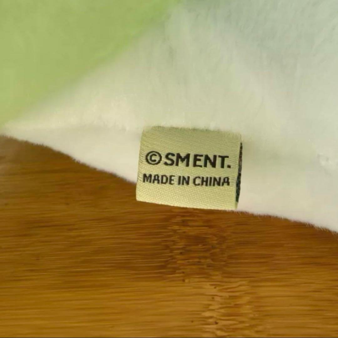NCT WISH Wichu Cushion Official Product | eBay
