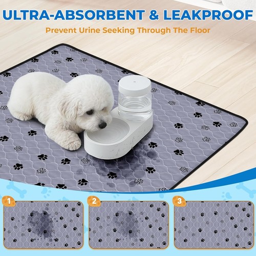 Leak-Proof Dog Pee Pads, 2 Pack Large 63"x63" - Picture 5 of 11