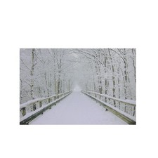 Northlight Small Fiber Optic Winter Wooden Bridge Canvas Wall Art 12" x 15.75"