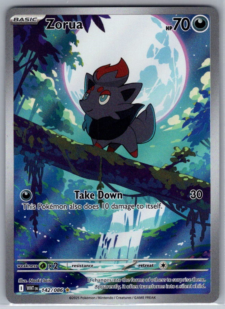 2025 Zorua 142/086 Pokemon White Flare Illustration Rare Holo