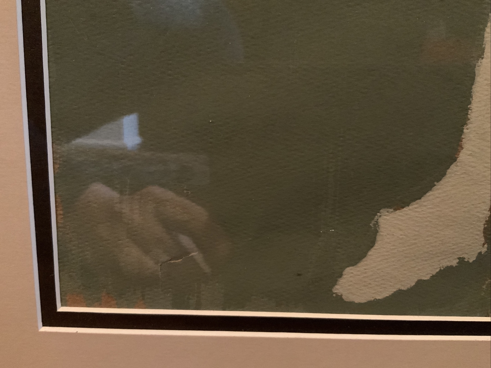 Foto 4 di 14