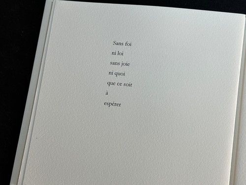 🌓Pierre André Benoit "Attendu nulle part" peint par Claude Viallat 1/8 ex signé - Foto 10 di 12