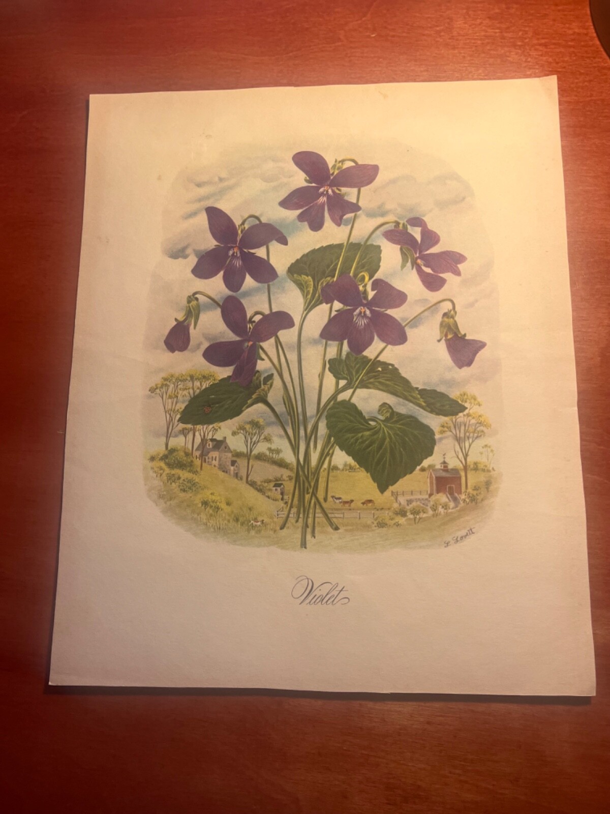 Bild 1 von 3