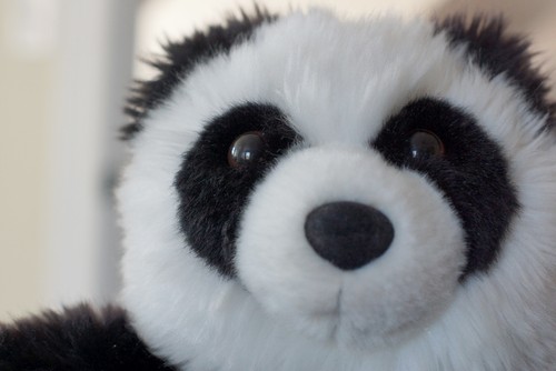 Build a Bear Workshop Pawsome Panda 15 Zoll Stofftier, nicht mehr produziert! - Bild 6 von 10