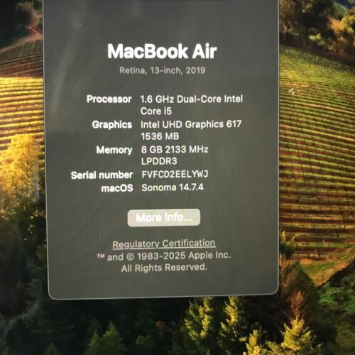 2019 MacBook Air 13in i5-8210Y 1.6 GHz 128GB 8GB RAM MVFH2LL - Afbeelding 7 van 17