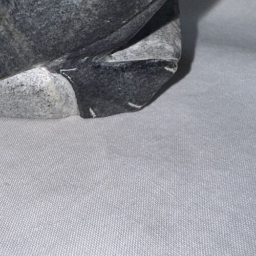 Seltene einheimische Inuit geschnitzte Speckstein Papageientaucher Pinguin Kunst signiert D. Aupalu 15388 - Bild 12 von 12
