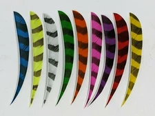 TrueFlight 5" Parabolic Barred Feathers - 100 Pack, RW or LW