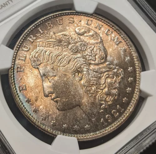 1921 Morgan Silver Dollar NGC MS63 - Beautiful Full Tone Obverse 🔥Silver $1