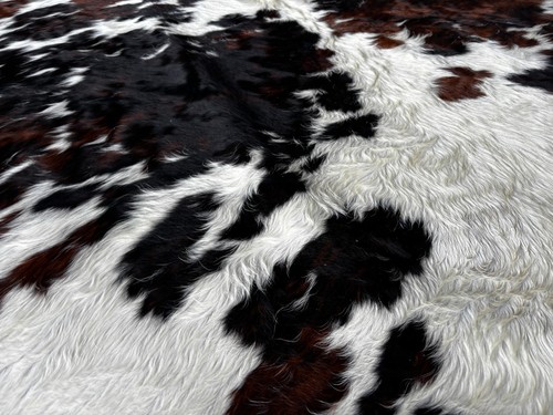 Cowhide Rug Tricolor High Quality Hair on Hide Size: Jumbo(XL)BR124 - Picture 15 of 15