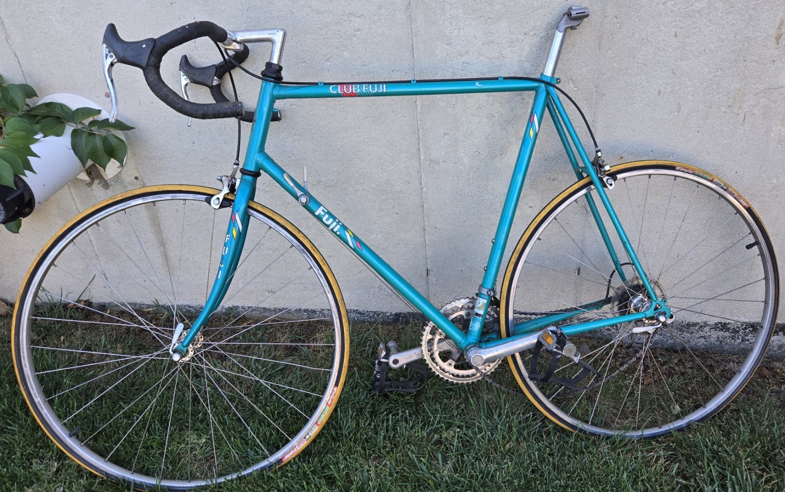 Vintage club Fuji 14 speed road bike triple butted Chromoly 24"