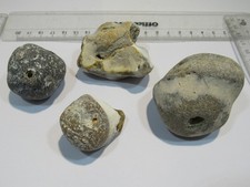 S302 Sammlung 4 Klappersteine Flint + Schw&auml;mme Normandie 4-6cm zus. 310g Rarit&auml;t