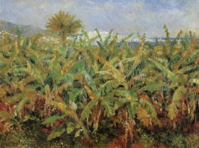 027 Pierre A Renoir - Field of Banana trees 1881 - Giclée Fine Art