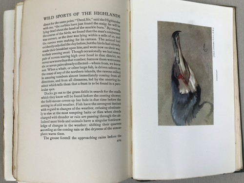 1927 Wild Sports And Natural History Of The Highlands by Charles St. John - Picture 20 of 24