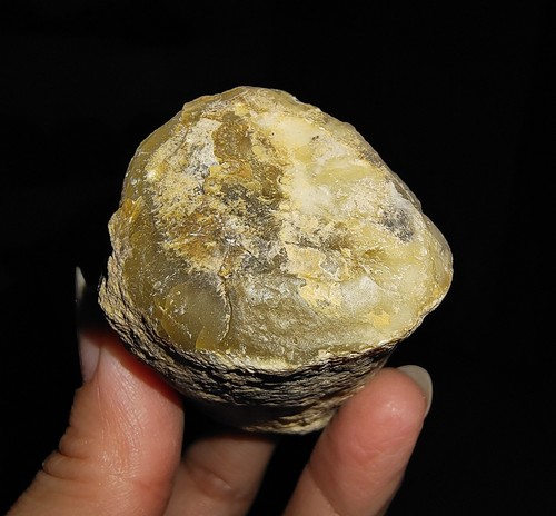 RARO TRONCO DE MADERA PETRIFICADA PLUMA HQ, PULIDO SUPERIOR, JAVA, INDONESIA, 55 MM - Imagen 7 de 7