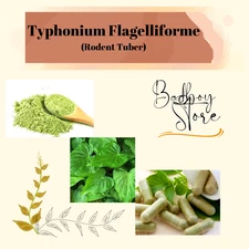 POWDER Rodent Tuber Typhonium Flagelliforme Organic
