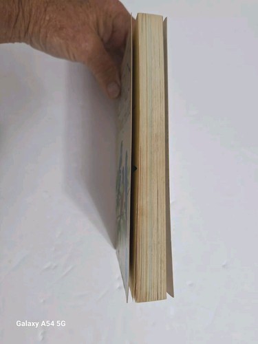 Birds of North America A Guide To Field Identification Vintage 1966 Golden Guide - Imagen 4 de 8
