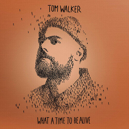 Tom Walker : What a Time to Be Alive CD Deluxe Album (2019) Fast and FREE P & P - Picture 1 of 2