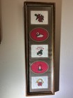 Picture 12 of 12