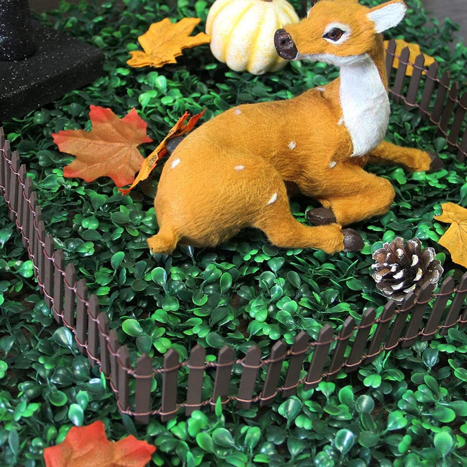 Picture 3 of 5
