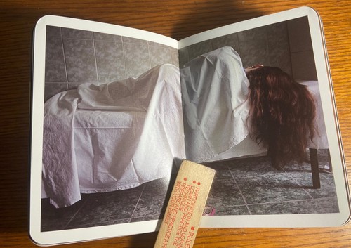 Dana Popa: Not Natasha paperback - B7 - Picture 10 of 12