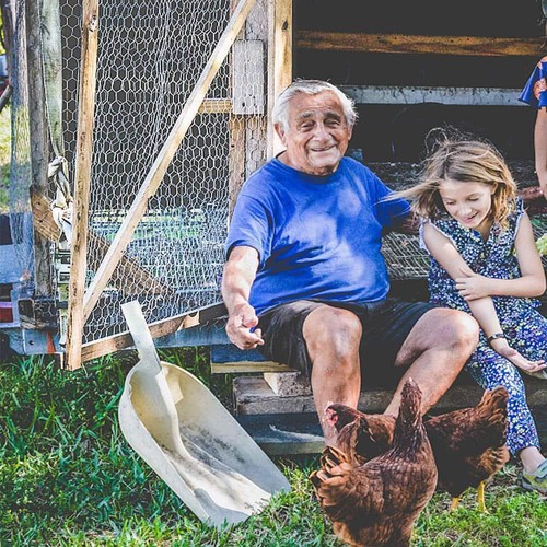 Fencer Wire Chicken Wire Fence 48" x 150 ft 20-Gauge Galvanized 1" Mesh Silver - Picture 10 of 10