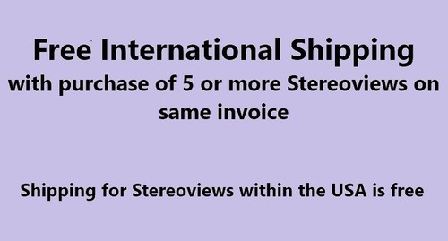 Leaping Chasm Dalles of Wisconsin River WI Underwood Stereoansicht - Bild 4 von 4