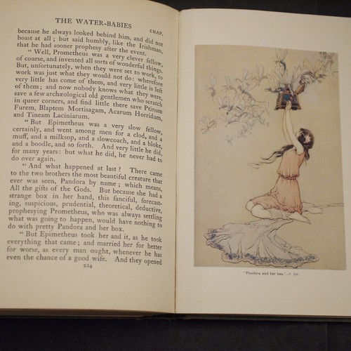 ** Rare ** Charles Kingsley The Water Babies First Edition 1910 (Warwick Goble) - Picture 20 of 20
