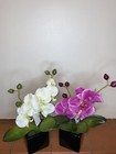 Artificial Orchid Plant in Cubic Pot - Real Touch Flower in Cream or Pink
