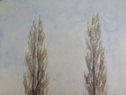 Foto 8 di 9