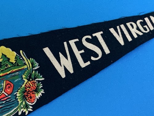 Vintage 1960's West Virginia Felt Pennant Flag Travel Indian Canoe Scene - Picture 6 of 10