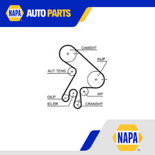 Timing Belt 5562XS Gates 13568YZZ02 1356829035 1356827010 859715562 Quality New