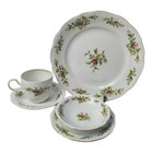 Vintage Johann Haviland Moss Rose 5 Piece Place Setting Traditions Fine China