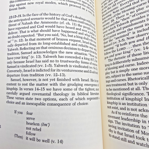 Interpretation First and Second Samuel Bible Commentary Brueggemann HB Book 1990 - Imagen 9 de 16