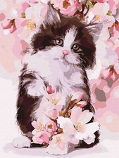 Ideyka Painting by Numbers kit Fluffy kitten KHO4383