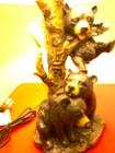Bild 14 von 16