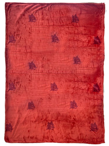 Coperta Plaid A.S. Roma in pile coral con elastico misura maxi 150x210 cm - Imagen 2 de 7