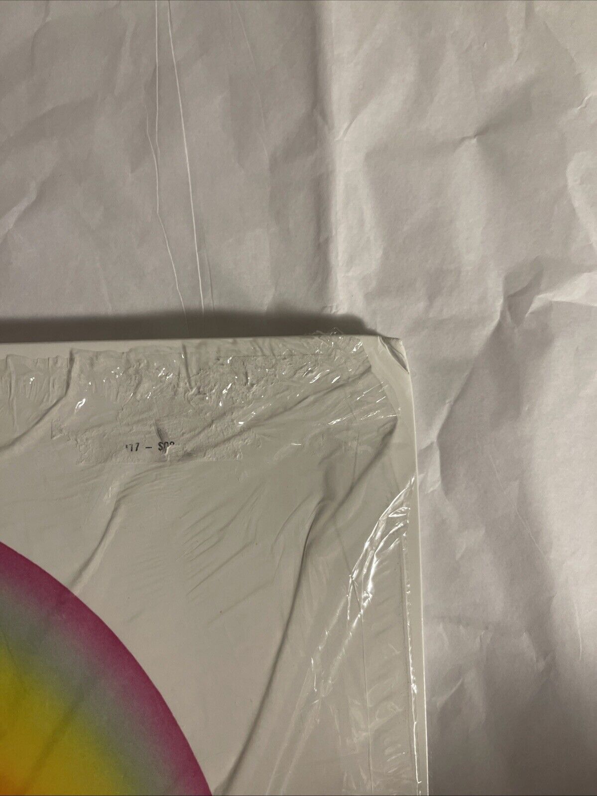 Picture 6 of 13