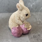 Foto 13 di 22