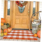  Buffalo Plaid Rug 27.5x43 Inches Orange and White Checke Rug Halloween Fall 