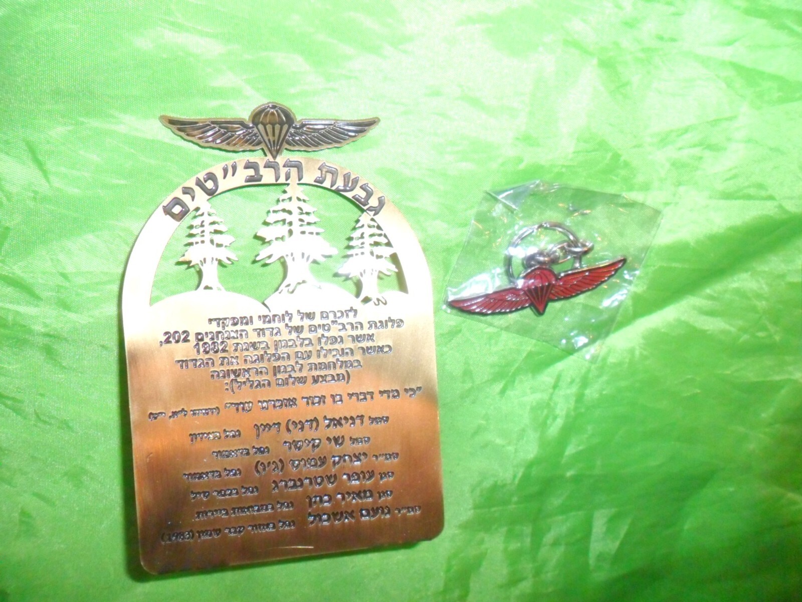 Picture 6 of 13