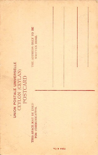 Sri Lanka - Tamil ladies - Publ. Plâté & Co. - Picture 2 of 2