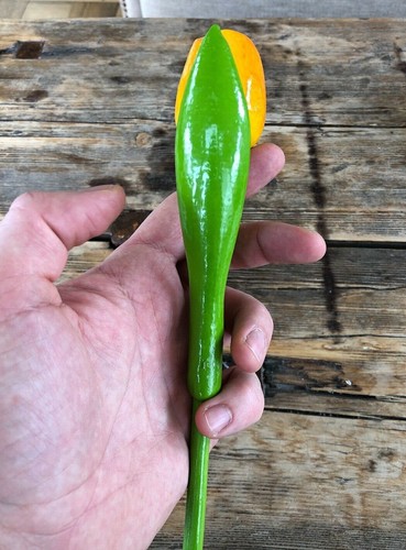 Wooden tulips, set of 5 yellow tulips, 13.3'' flower table decor, handmade  - Picture 7 of 8