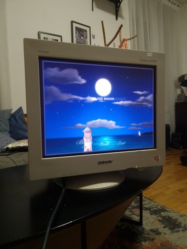 Sony Trinitron Multiscan 21 Zoll G500 CRT VGA MONITOR 2048x1536 - Bild 4 von 19