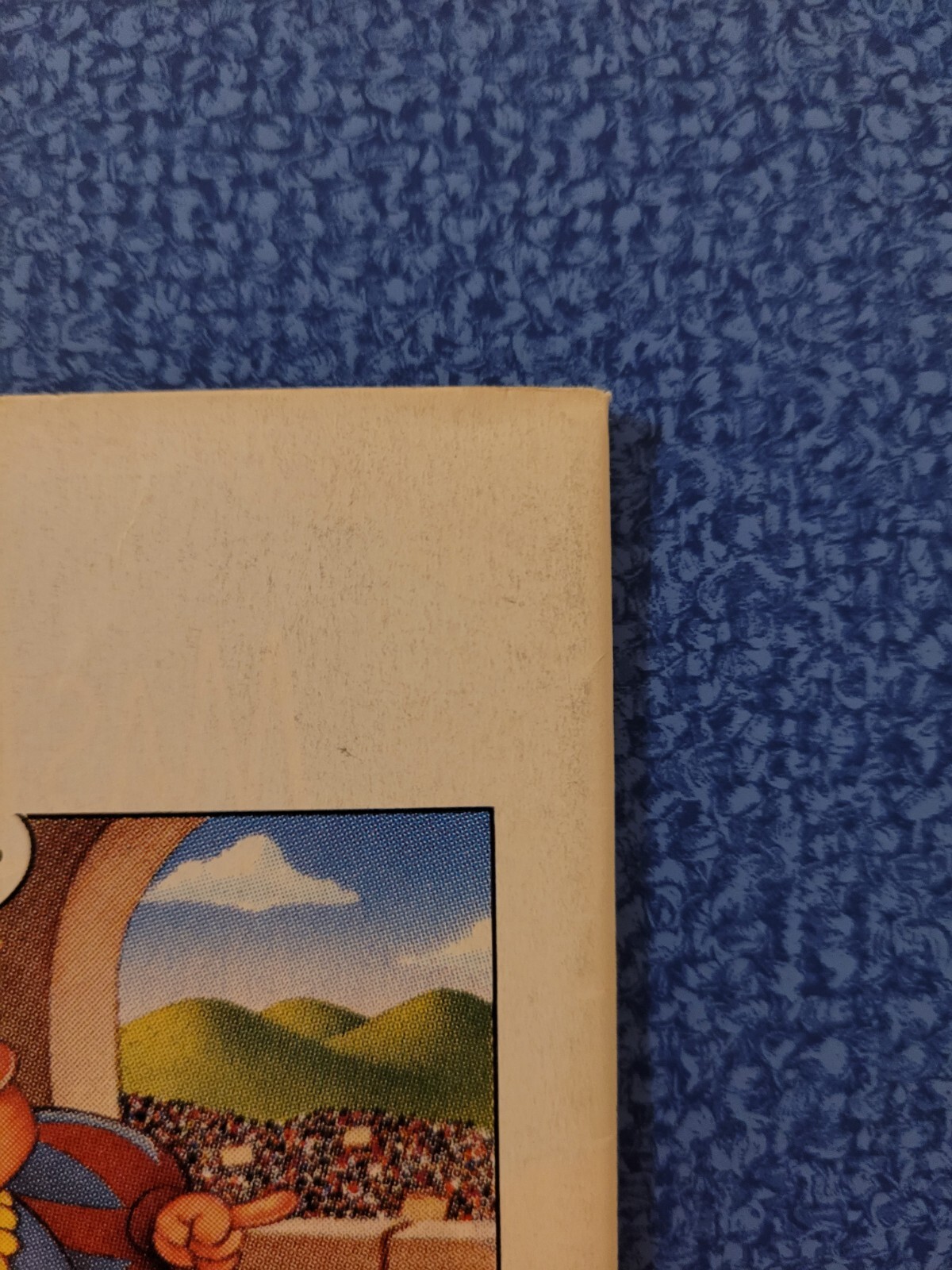 Picture 10 of 16