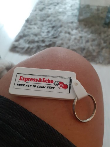 Express und Echo Exeter Devon Vintage Abzeichen  - Bild 1 von 2