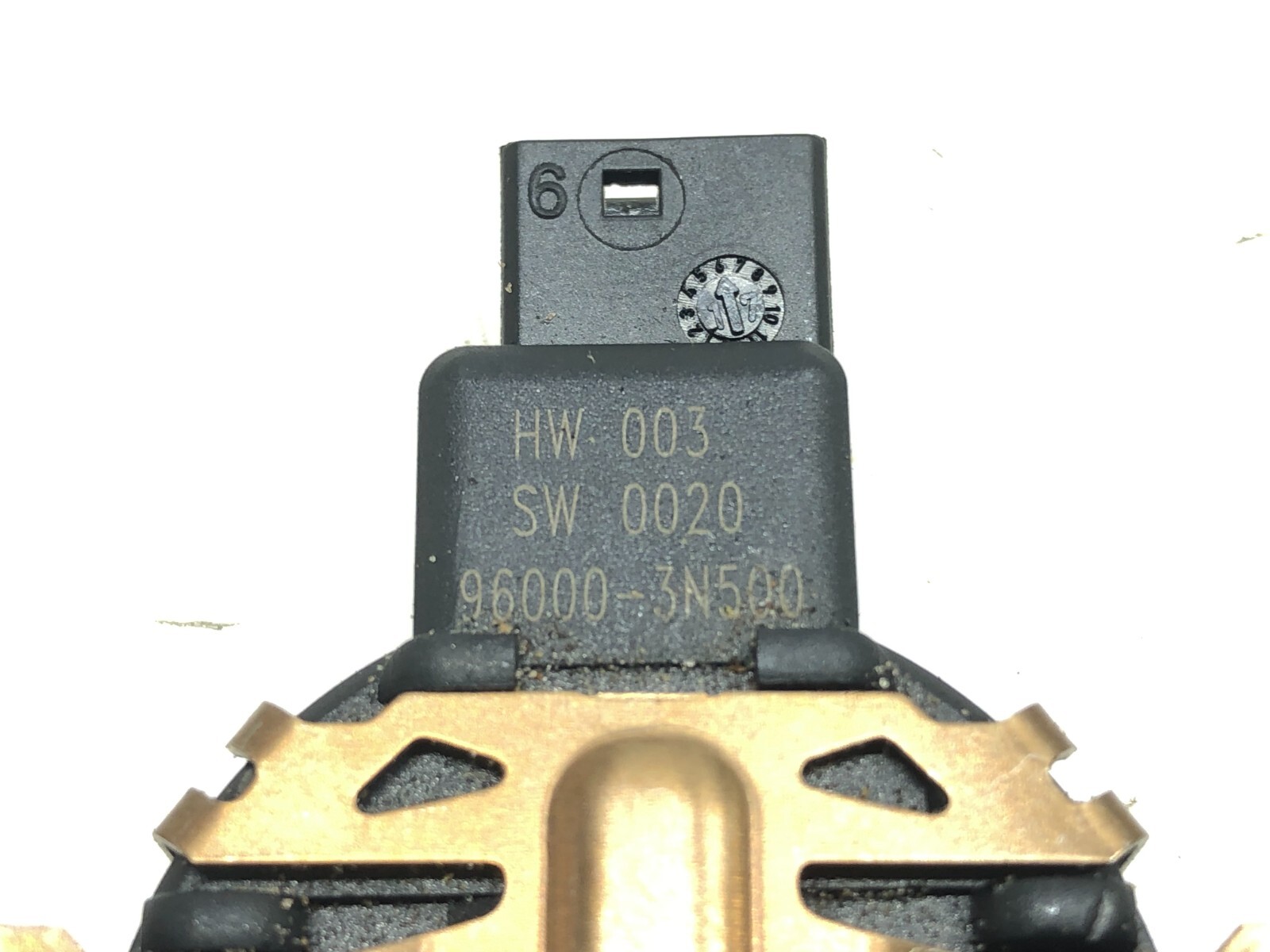 Picture 6 of 6